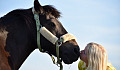 young girl kissing a horse on the nose